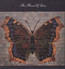 The House Of Love - The House Of Love 