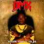 X Gon Give It To Ya - DMX
