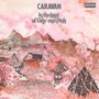 In The Land Of Grey & Pink - Caravan