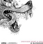 Undivided Heart - JD McPherson