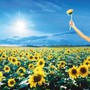Thank You - Stone Temple Pilots