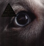 The Dark Side Of The Moon Redux - Roger Waters