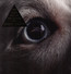 The Dark Side Of The Moon Redux - Roger Waters