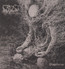 Dissolution - Crust