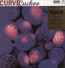 Cuckoo - Curve