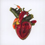 Torn Arteries - Carcass