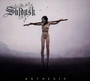 Anthesis - Suldusk