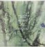 Radiant Green - Bel Canto