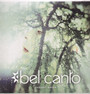 Radiant Green - Bel Canto