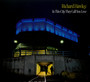 In This City They Call You Love - Richard Hawley