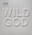 Wild God - Nick Cave / The Bad Seeds 
