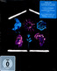 An Hour Before It S Dark: Live In Port Zelande 2023 - Marillion An Hour Before It S Dark: Live In Port Zelande 2023 - Marillion
