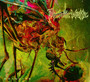 Mosquito - Psychotic Waltz