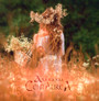 Centaurea - Ataraxia