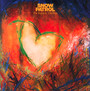 The Forest Is The Path - Snow Patrol