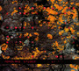 Studio - Monolake