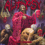 Morbidity Triumphant - Autopsy