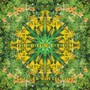 Orboretum: The Orb Collection - The Orb