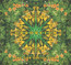 Orboretum: The Orb Collection - The Orb