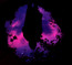 Aurora - Slow Crush