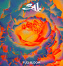 Full Bloom - 311 