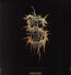 Gold - Scour