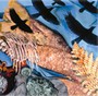 Prehistoricisms - Intronaut