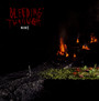 Nine - Bleeding Through