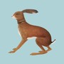 Lookaftering - Vashti Bunyan