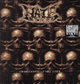 Awakening Of The Liar - Hate