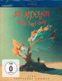Live - Perpetual Change - Jon  Anderson  / The  Band Geeks 
