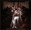 The Screaming Of The Valkyries - Cradle Of Filth
