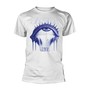 Coma _TS80334_ - Gaerea