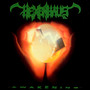 Awakening - Hexenhaus