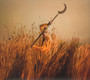Crying The Neck - Patrick Wolf