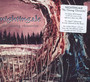 The Closing Chronicles - Nightingale   