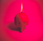Pink Elephant - The Arcade Fire 