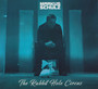 The Rabbit Hole Circus - Markus Schulz