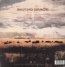 Saving Grace - Robert Plant