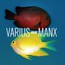 Ego - Varius Manx