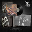 Vempire Or Dark Faerytales In Phallustein - Cradle Of Filth