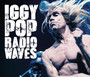 Collected Broadcasts 1977-1988 - Iggy Pop